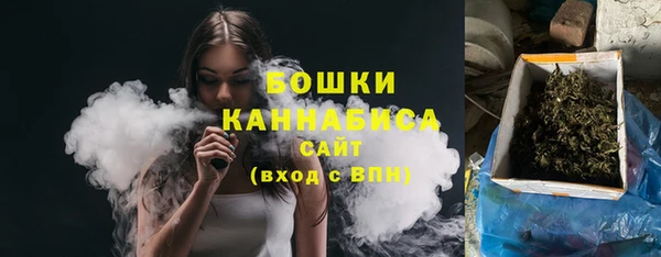 PSILOCYBIN Горно-Алтайск