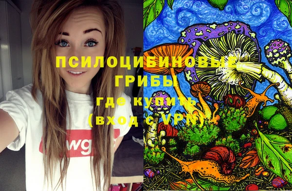 ПСИЛОЦИБИНОВЫЕ ГРИБЫ Новый Уренгой