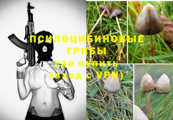 стафф Вязьма