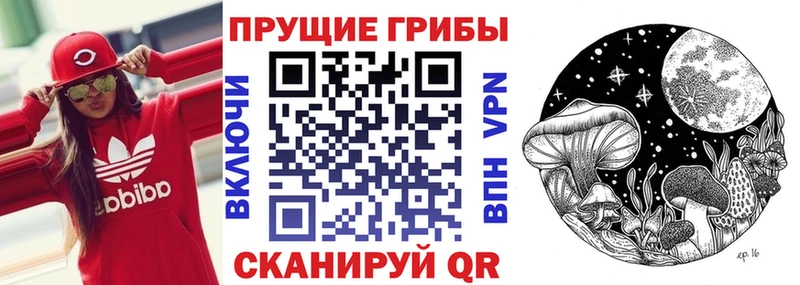 Псилоцибиновые грибы мухоморы Далматово